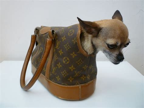 chihuahua halsband louis vuitton|louis vuitton dog carrier.